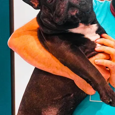 호텔 Boutique 페라라