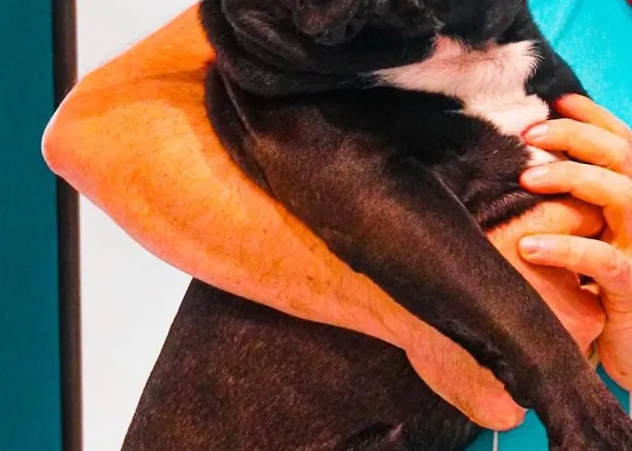 Hotel Boutique Ferrara